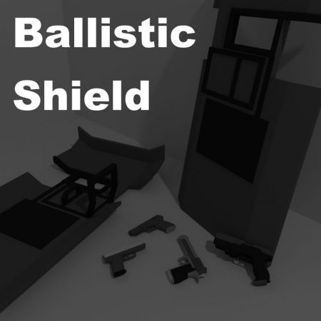 Ballistic Shield & Pistol