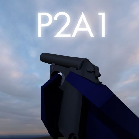 P2A1