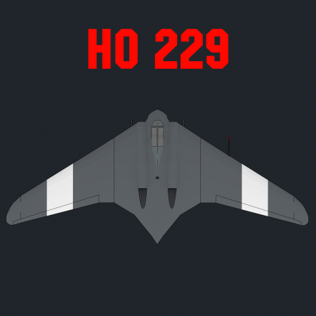 Ho 229